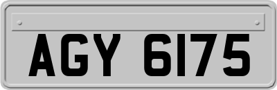 AGY6175