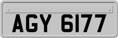 AGY6177