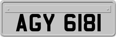 AGY6181