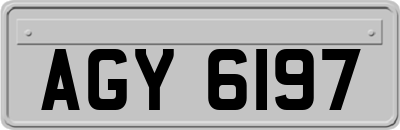 AGY6197