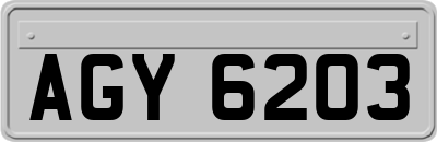 AGY6203