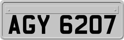 AGY6207