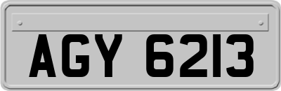 AGY6213