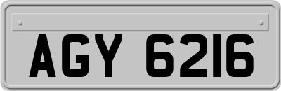 AGY6216