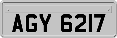 AGY6217