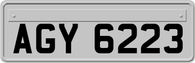 AGY6223