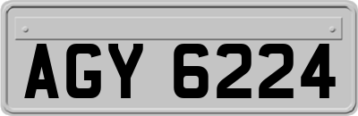 AGY6224