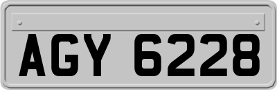 AGY6228