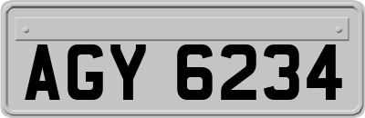 AGY6234
