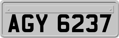 AGY6237