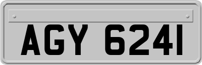 AGY6241