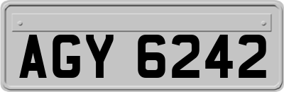 AGY6242