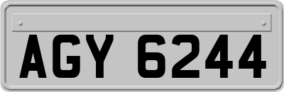 AGY6244