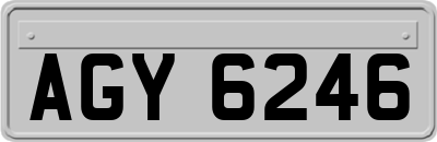 AGY6246