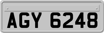 AGY6248