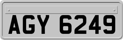 AGY6249