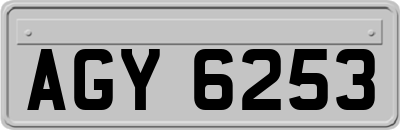 AGY6253