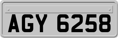 AGY6258