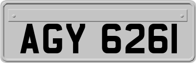 AGY6261