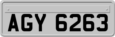AGY6263