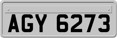 AGY6273