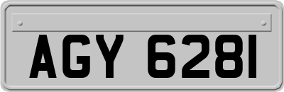 AGY6281