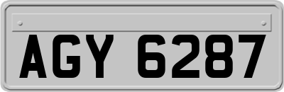 AGY6287