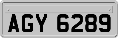 AGY6289