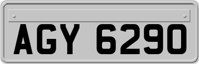 AGY6290