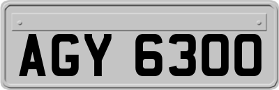 AGY6300