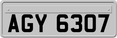 AGY6307