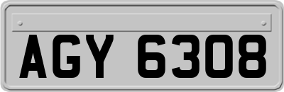 AGY6308
