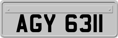 AGY6311