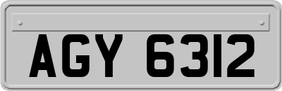 AGY6312