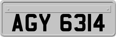 AGY6314