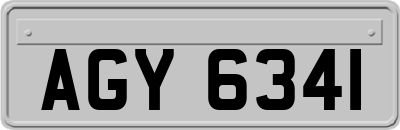 AGY6341