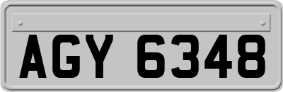 AGY6348