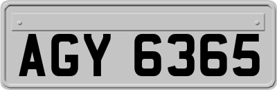 AGY6365