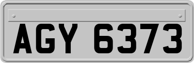 AGY6373