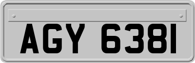 AGY6381