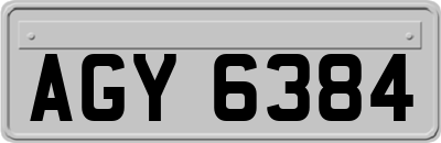 AGY6384