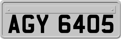 AGY6405