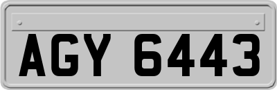 AGY6443