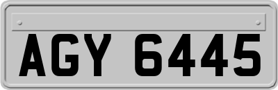 AGY6445