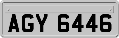 AGY6446