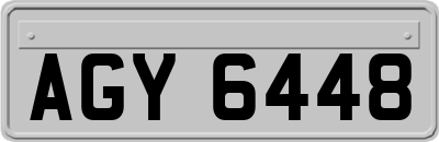 AGY6448