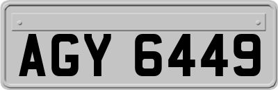 AGY6449