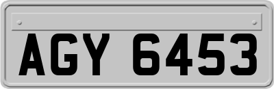 AGY6453