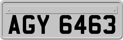 AGY6463