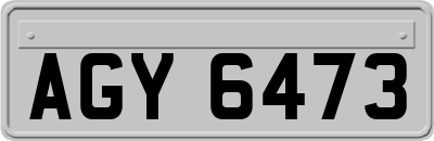 AGY6473